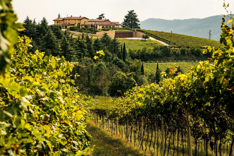 Zwischen Himmel & Rebe – Costa Arènte im Herzen der Valpolicella